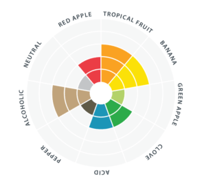 Abbaye_flavor_wheel