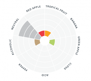 london_ESB_flavor_wheel