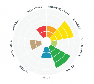 munich_classic_flavor_wheel