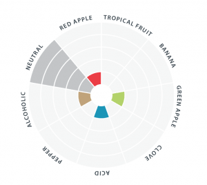 nottingham_flavor_wheel