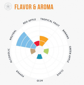 kveik_flavor_wheel