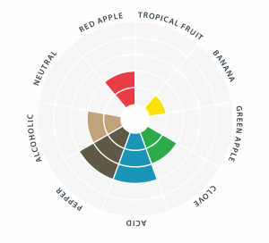 bell_saison_flavor_wheel