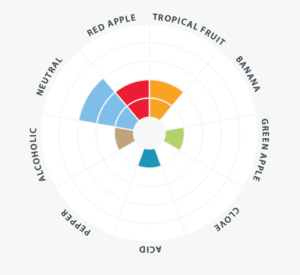 koln_favor_wheel