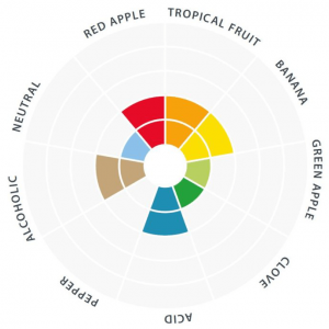 wit_flavor_wheel