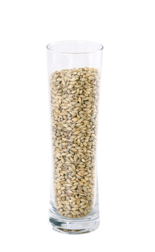 pale ale malt