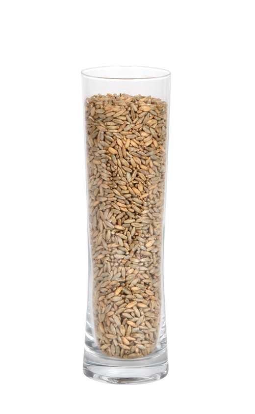 rye malt